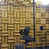 acoustical laboratory