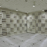 acoustical laboratory